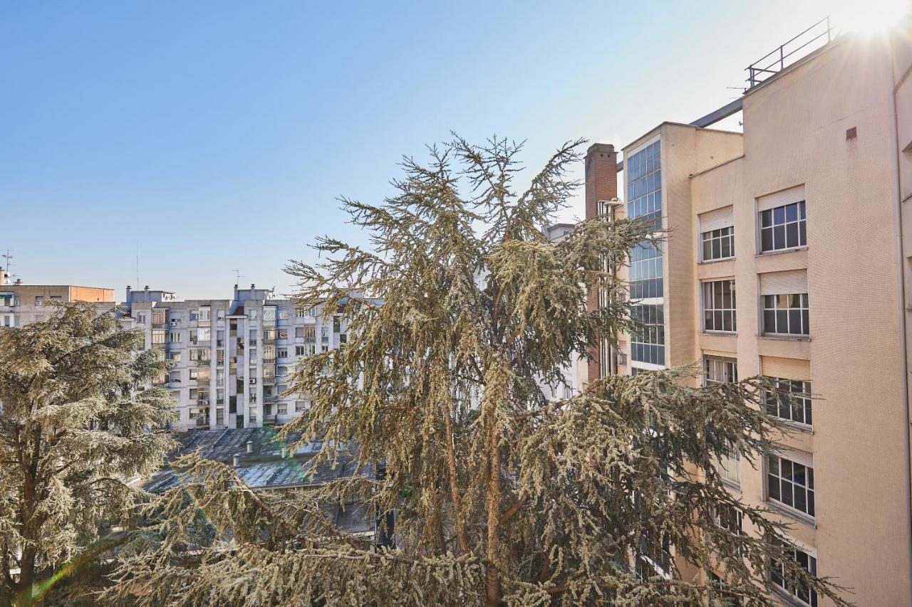 Carlotta Silvani Suite Bolonya Dış mekan fotoğraf